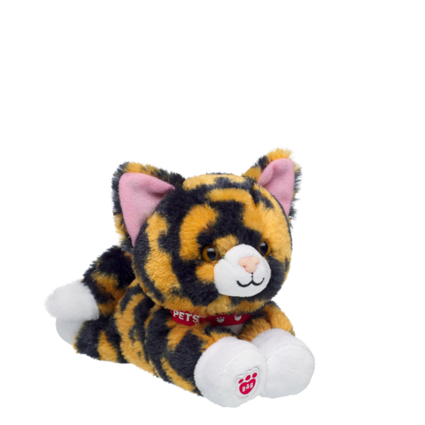 Mini Beans Promise Pets Calico