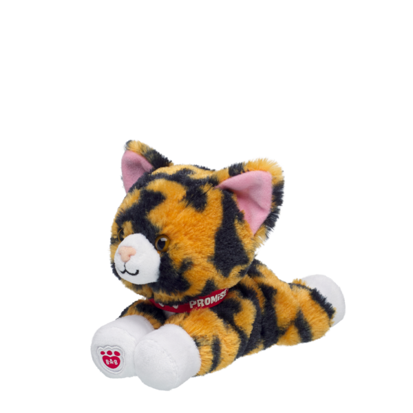 Mini Beans Promise Pets Calico