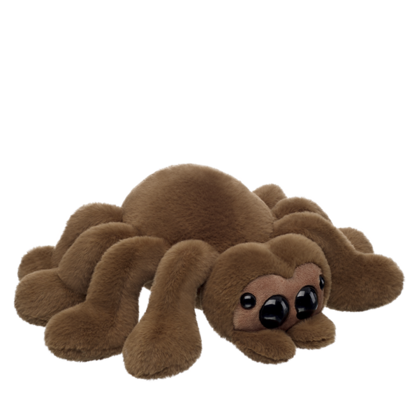Jumping Spider