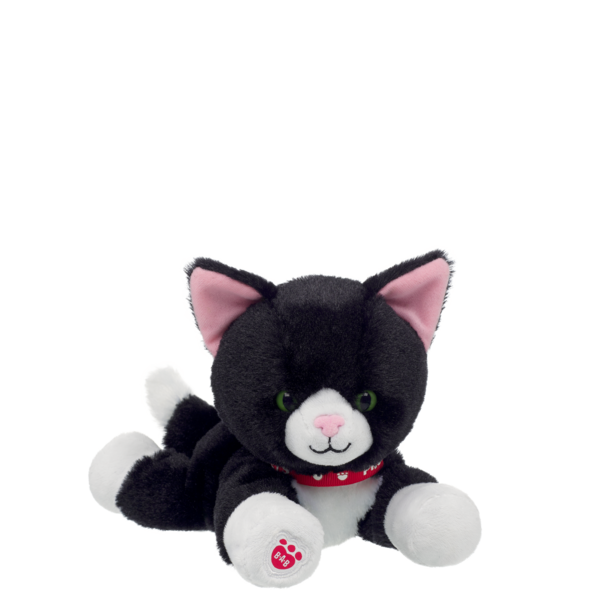 Mini Beans Tuxedo Cat
