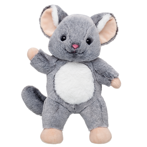 Chinchillin' Chinchilla