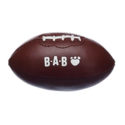 Amerikansk fotball