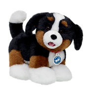 Promise Pets Bernes Mountain Dog