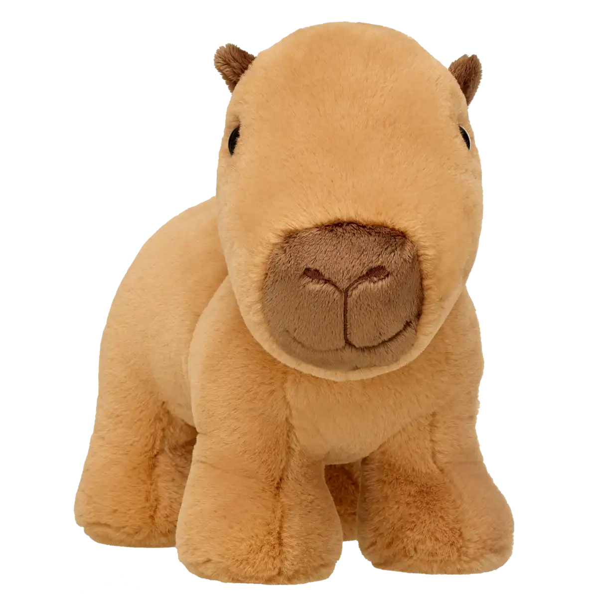 Capybara
