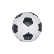 Fotball