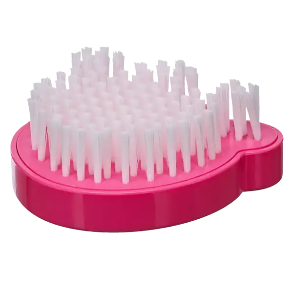 Fuchsia Pote børste