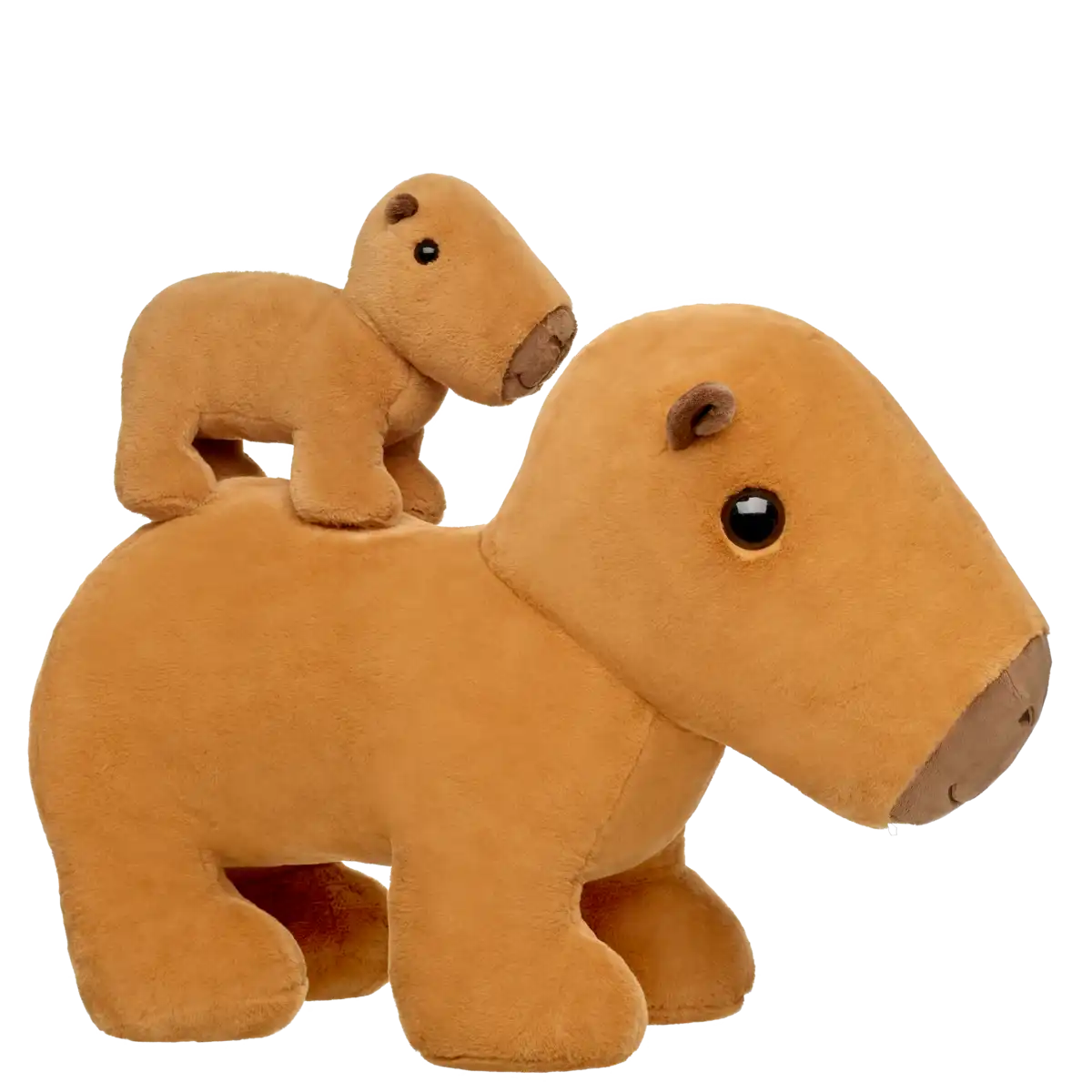 Gigantisk Kapibara