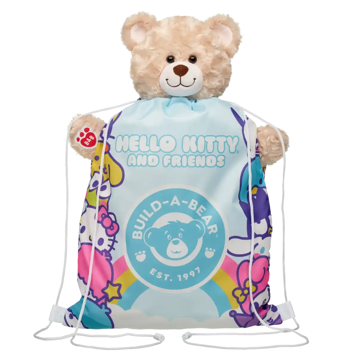 Hello Kitty and Friends Carrier