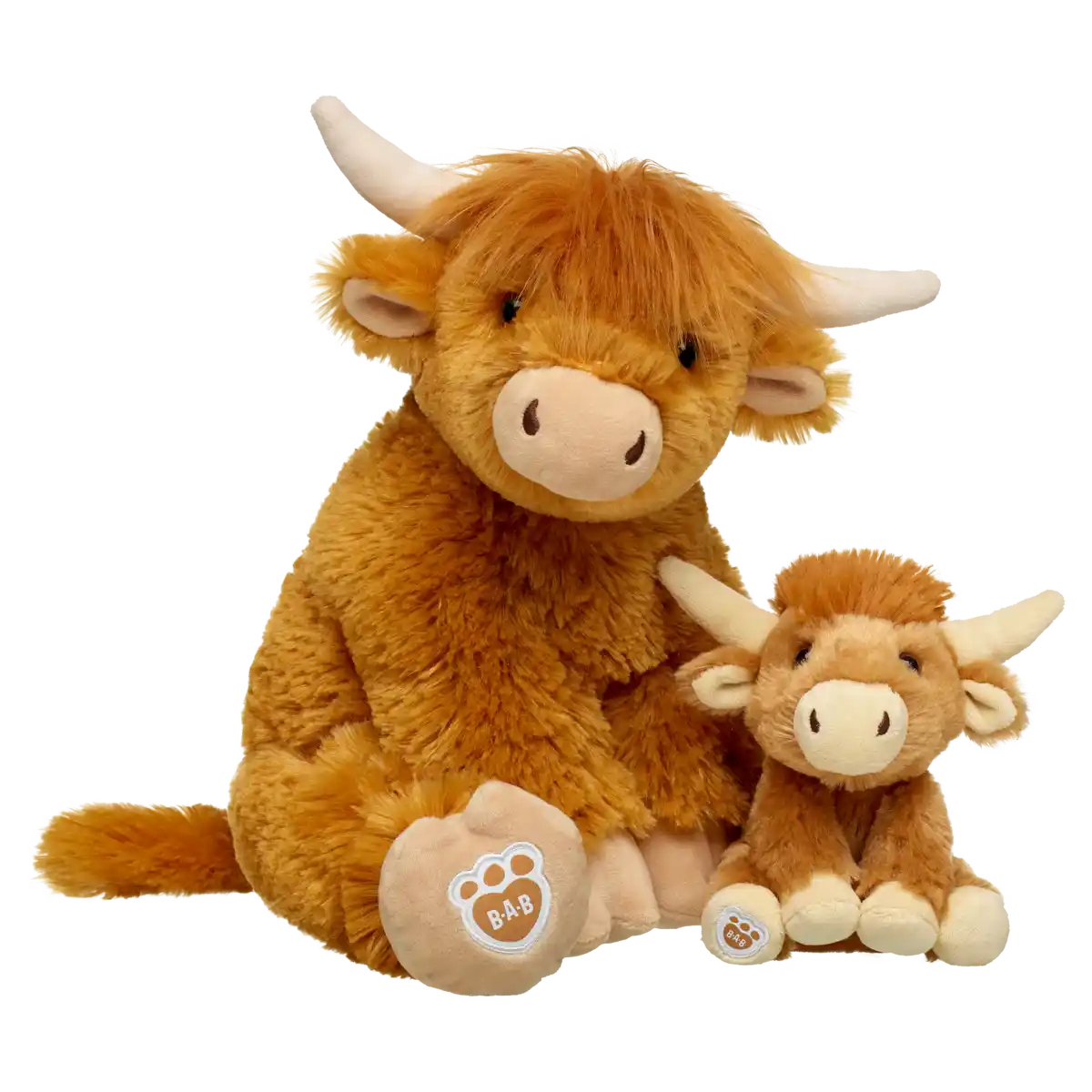 Highland Cow