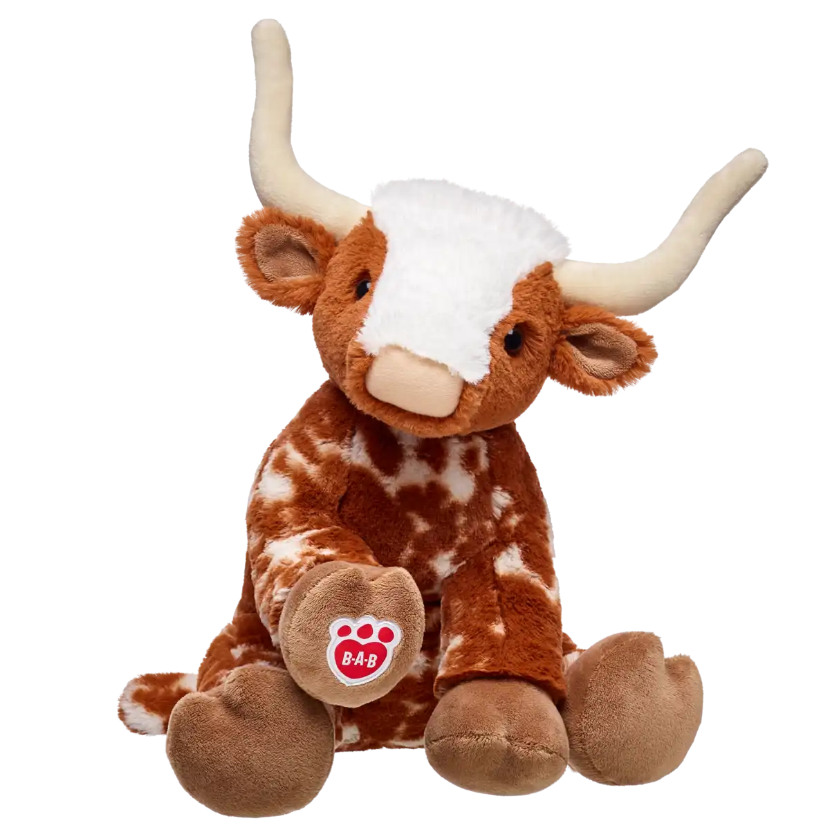 Longhorn Cow