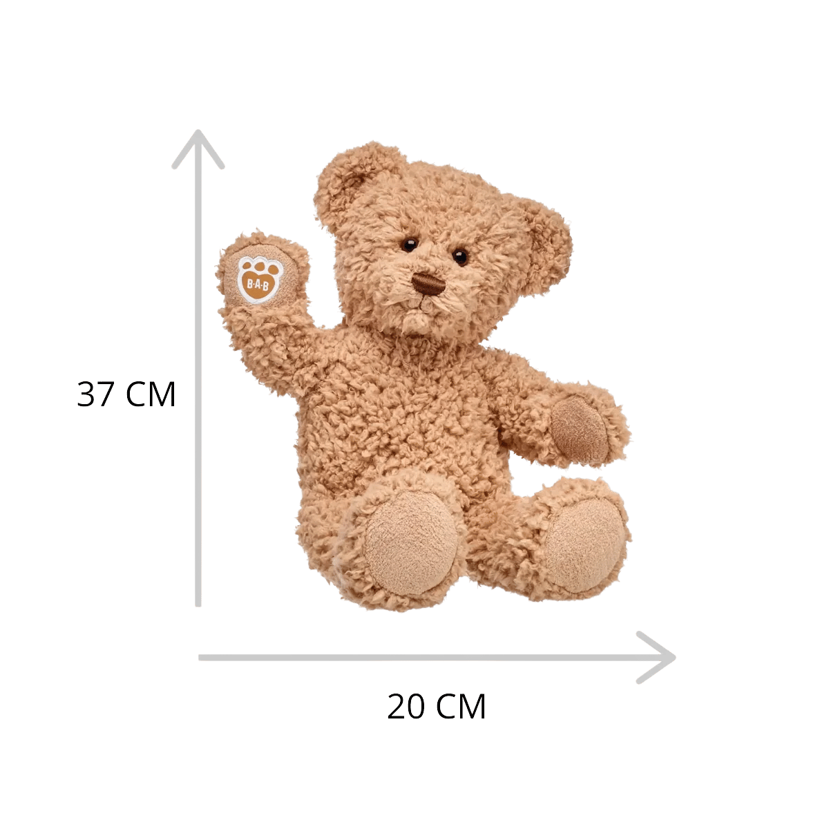 Timeless Teddy