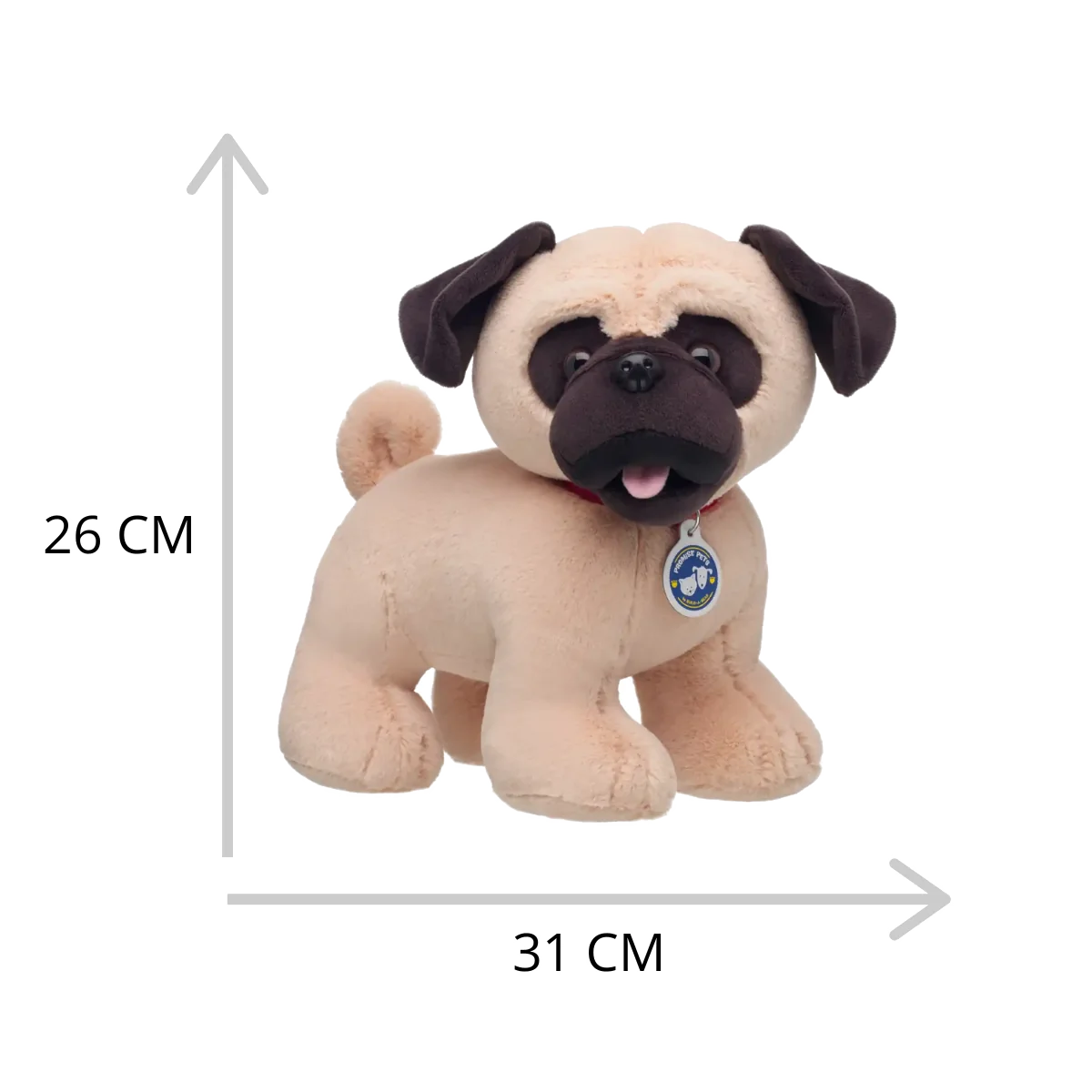 Promise Pets Pug